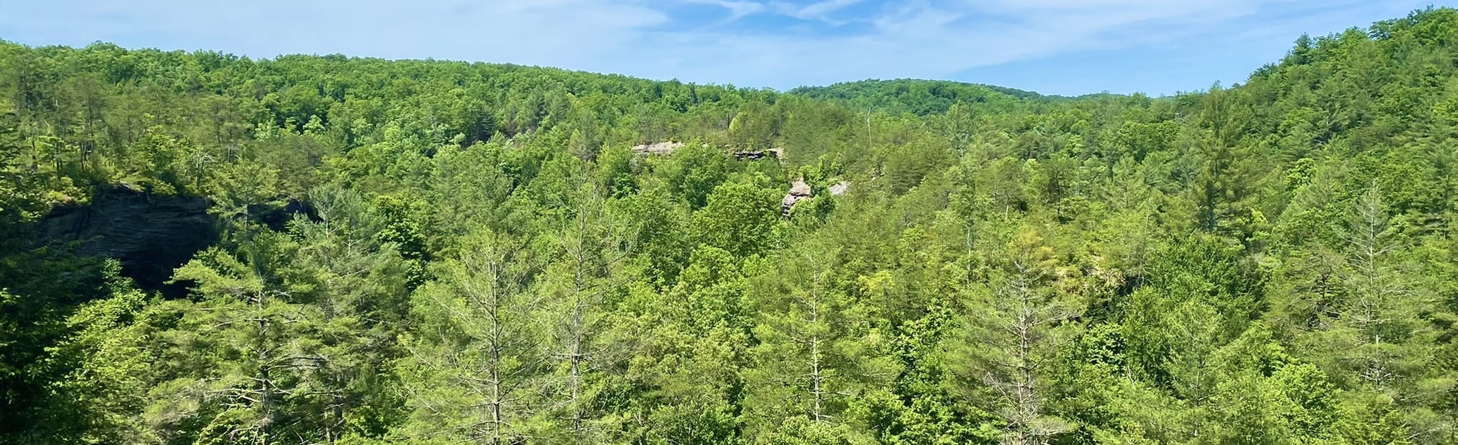 Spruce Creek and Sawtooth Ridge Trail, Tennessee 20 Reviews, Map