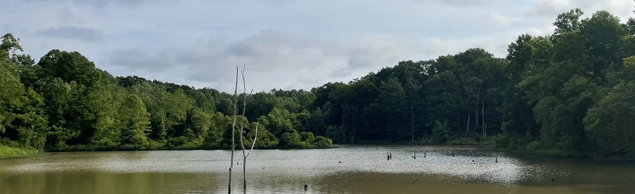 Cabin Branch Trail Loop, Maryland 302 Reviews, Map AllTrails