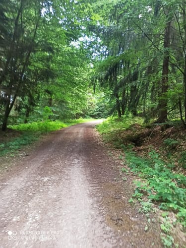 Schwarzenfels - Eckarts