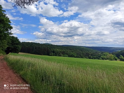Schwarzenfels - Eckarts