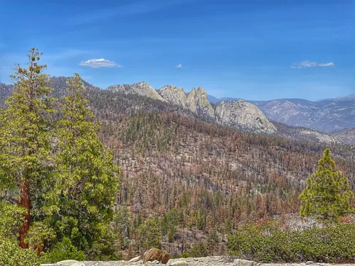 Sequoia national park shop dog friendly trails