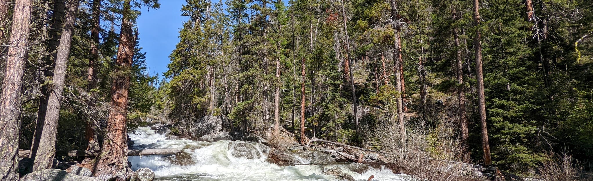 Bear Creek Trail South Fork: 5 Reviews, Map - Montana | AllTrails