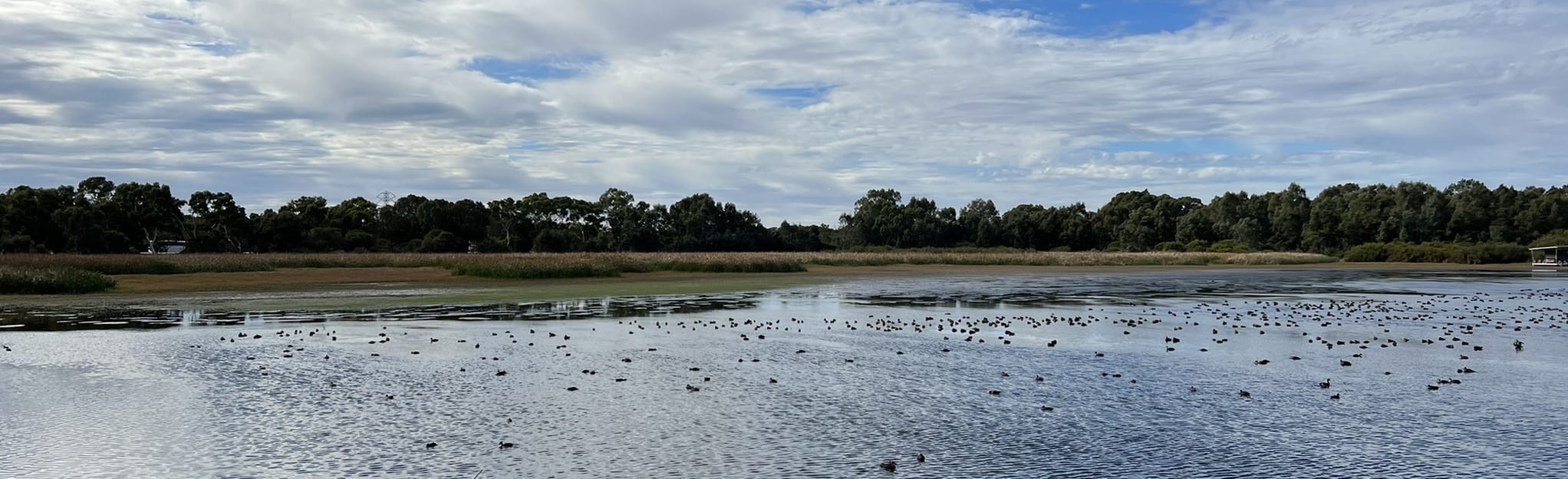 Bibra Lake Loop, Western Australia, Australia 336 Reviews, Map AllTrails