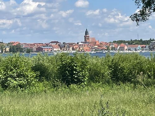 Ecktannen - Warnker See - Feisnecksee