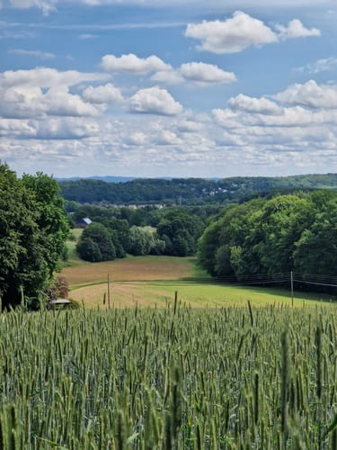 Mielberg-Petersberg-Rundweg