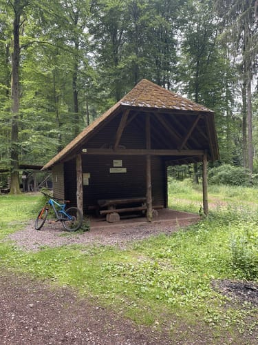 MTB Tour: Sulz - Jägerweg - Seelbach Rundweg