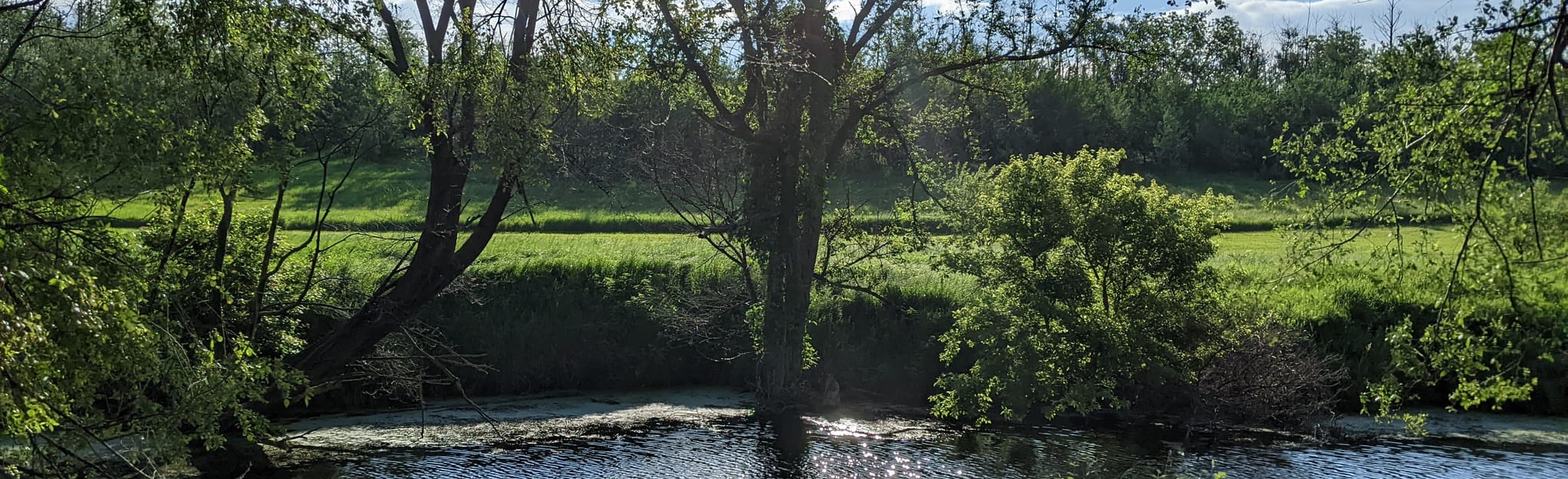 Hillview Recreation Area Green Trail, 74 Fotos Iowa AllTrails