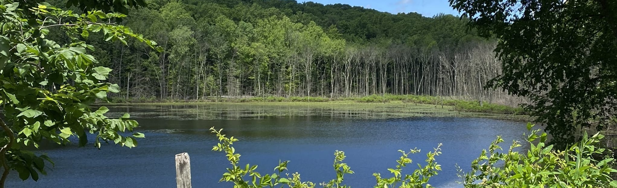 AllTrails Shelton Lakes Recreation Path 367 Reviews, Map Connecticut