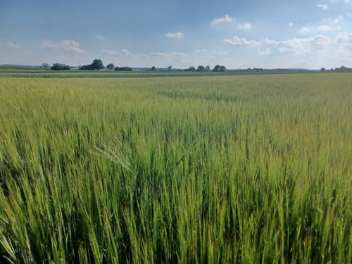 Rund um den Flughafen Stuttgart