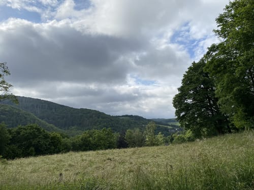 EifelSpur Kräuterpfad (Gemeinde Nettersheim)