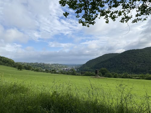 EifelSpur Kräuterpfad (Gemeinde Nettersheim)