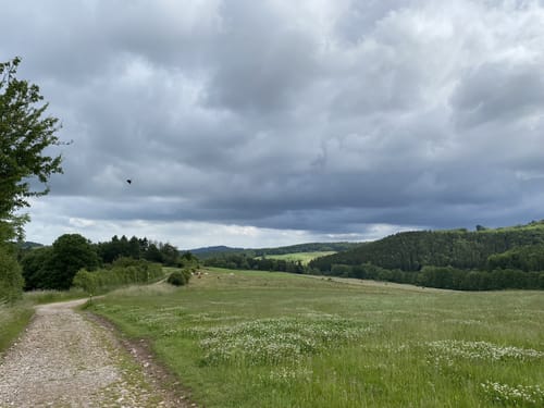 EifelSpur Kräuterpfad (Gemeinde Nettersheim)