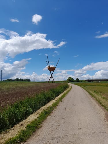 Um Ehningen