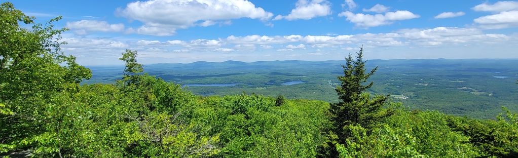 are dogs allowed at mount monadnock