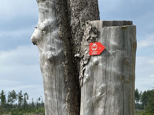 Eco Pfad Holzhausen (Gahrenbergrunde)
