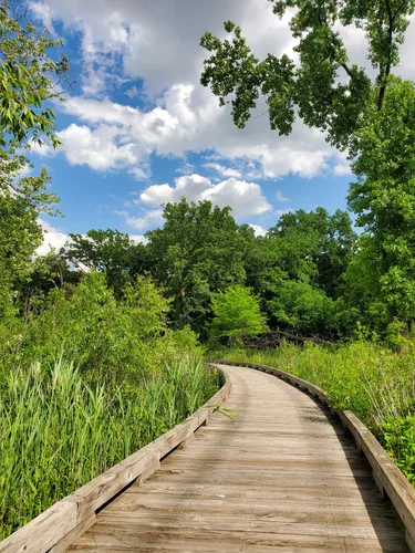 Best Hikes and Trails in Sand Ridge Nature Preserve | AllTrails
