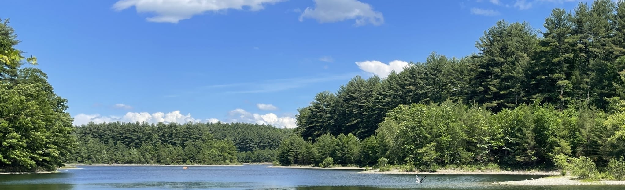 Wachusett Reservoir Loop 98 Reviews, Map Massachusetts AllTrails