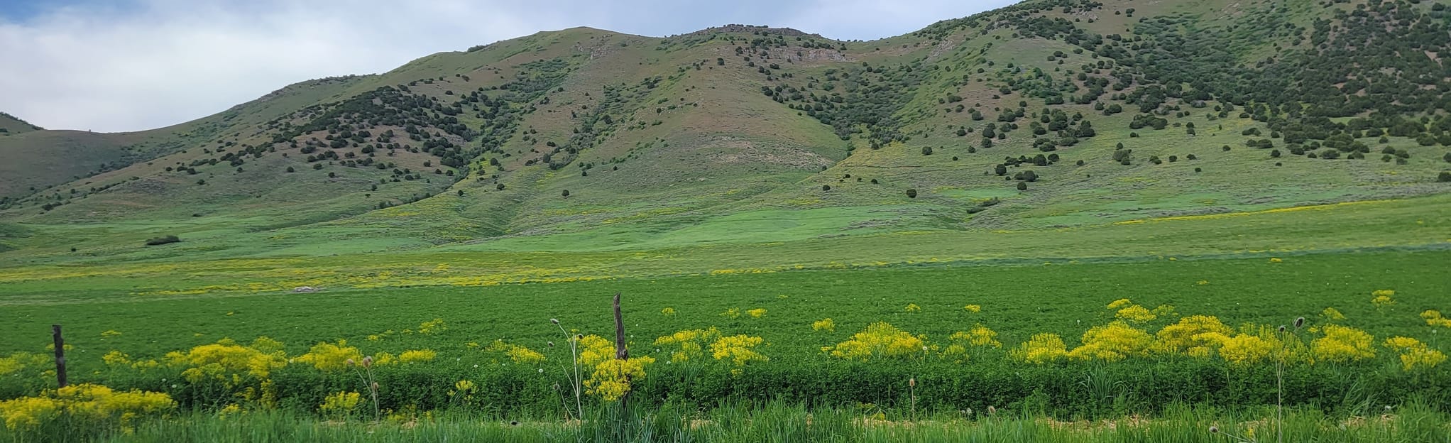 Mantua Reservoir Trail, Utah 661 Reviews, Map AllTrails