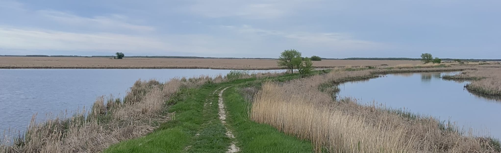 Oak Hammock North Marsh Loop Map, Guide Manitoba, Canada AllTrails