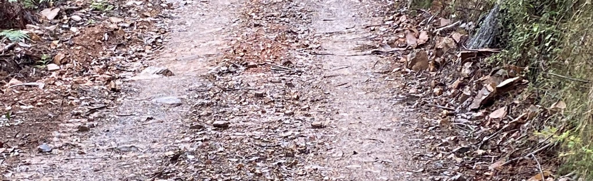 Aeroplane Track via Lukes Creek, Victoria, Australia - 3 Reviews, Map ...