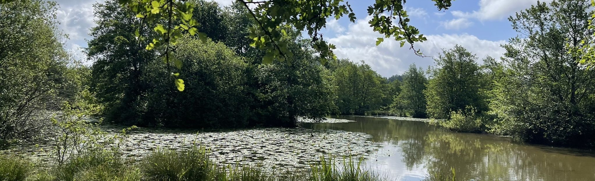 Buxted Park And Views Wood Circular 82 Fotos East Sussex England Alltrails