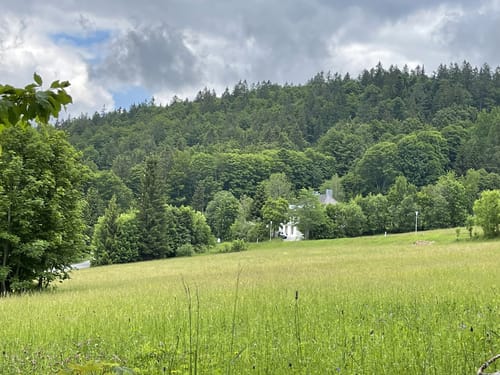 Lusen Rundweg ab Waldhäuser