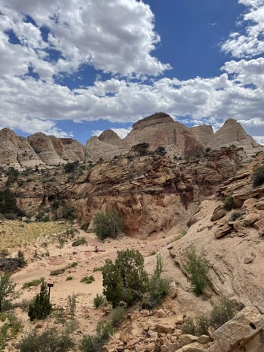 Alltrails capitol shop reef