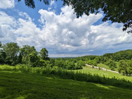 boyce park mountain bike trails