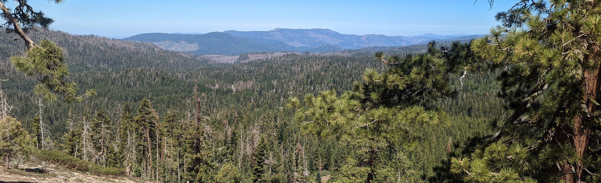 Fresno Dome: 123 Reviews, Map - California 