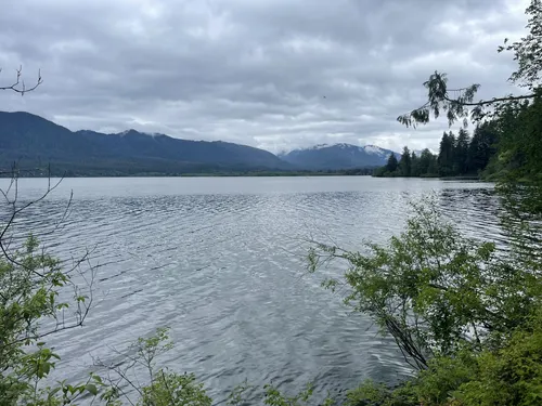 Hikes near outlet lake quinault