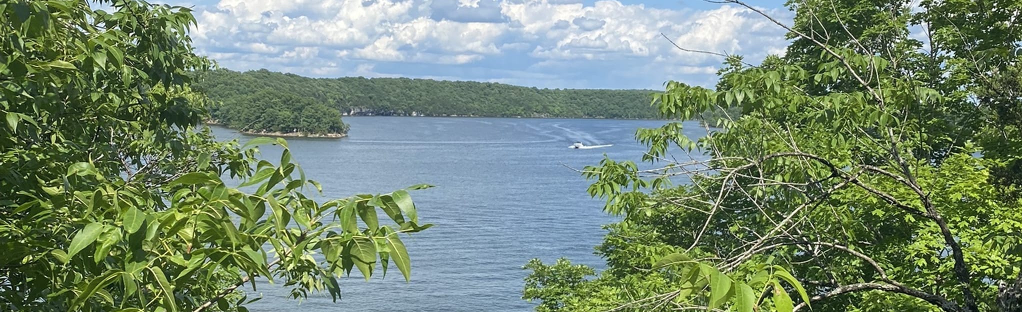 Rocky Top Trail, Missouri 1,112 Reviews, Map AllTrails