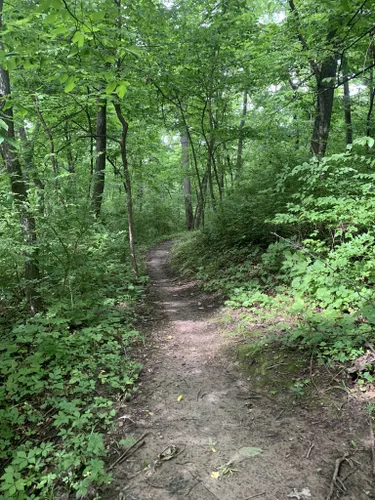10 Best Hikes and Trails in Wyandotte County Lake Park | AllTrails