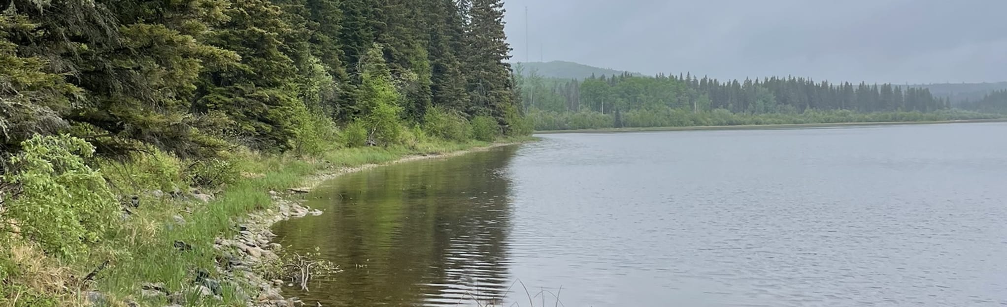 Shady Lake Trail 9 Reviews, Map Saskatchewan, Canada AllTrails