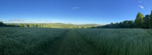 Best Hikes and Trails in Leary Field and Forest | AllTrails