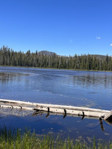 Best 10 Hikes and Trails in Sierra National Forest | AllTrails