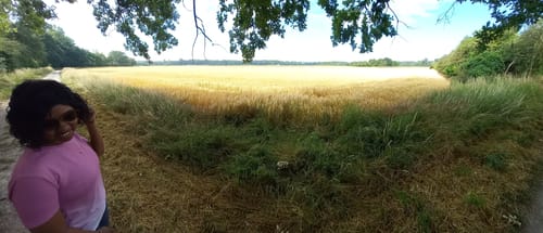 Naturschutzgebiet Lampertheimer Altrhein: Welsches Loch und Rhein