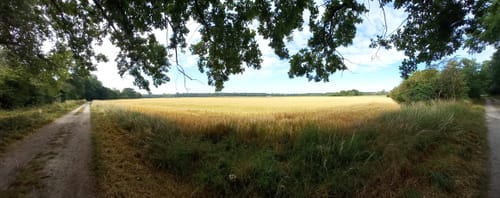 Naturschutzgebiet Lampertheimer Altrhein: Welsches Loch und Rhein