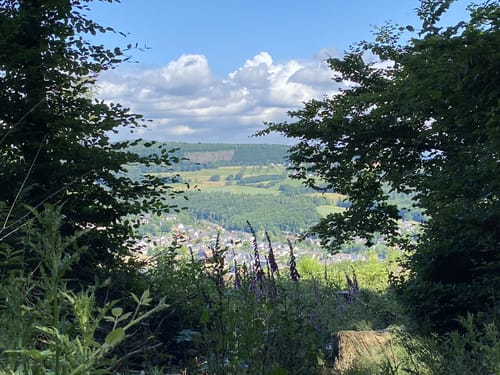 Mausauel Kurze Runde