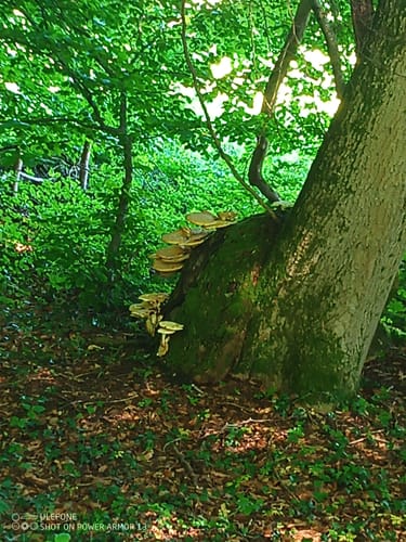 Archäologischer Wanderweg bei Jexhof