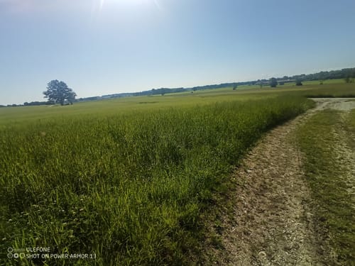 Archäologischer Wanderweg bei Jexhof