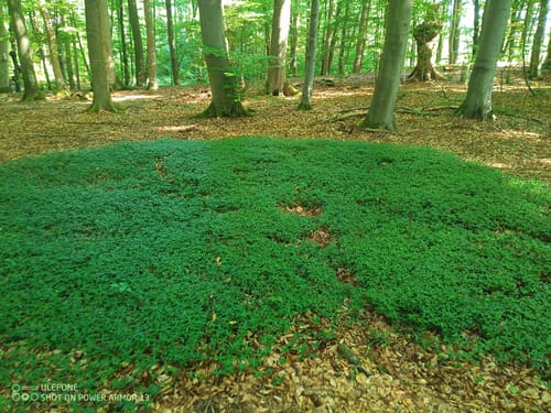 Archäologischer Wanderweg bei Jexhof