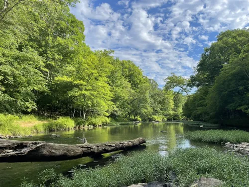 Los 10 mejores senderos para ir de pesca en Carolina del Norte