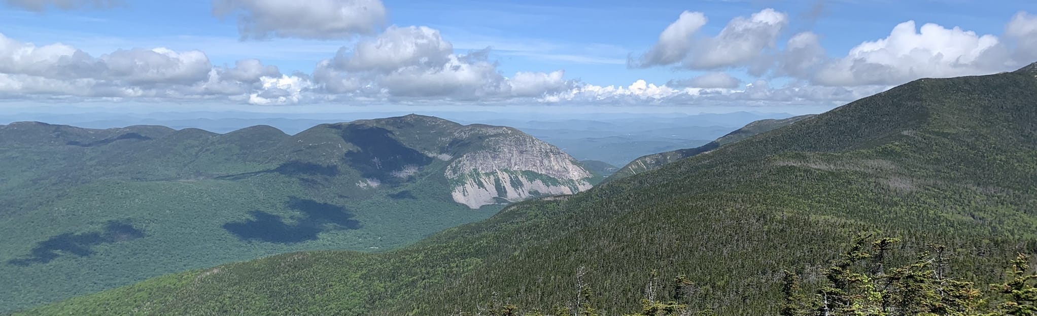 Mount Liberty via Liberty Spring Trail 1169 Reviews, Map New