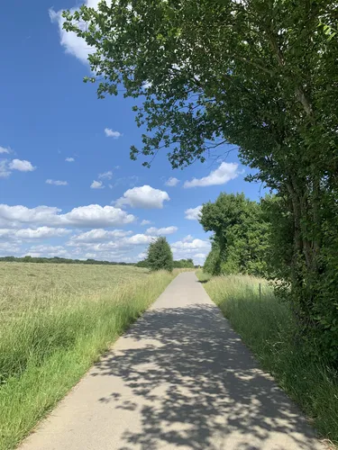 Hiking with my on sale dog near me