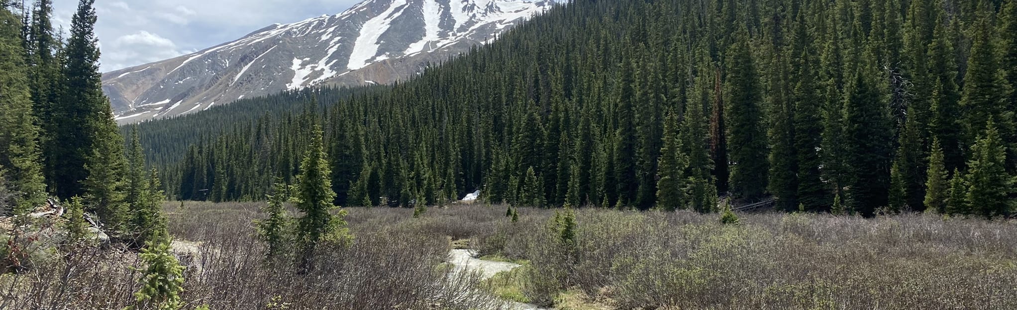 Little French Gulch Trail 160 Reviews, Map Colorado AllTrails