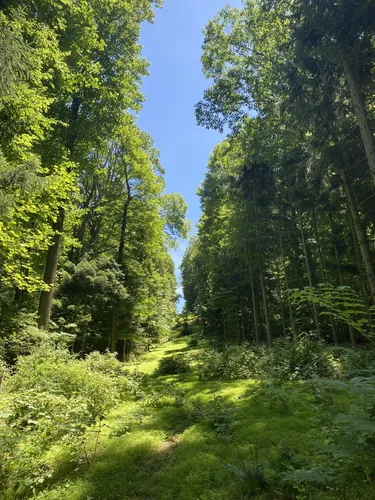 Best 10 Hiking Trails in Nolde - EyJidWNrZXQiOiJhc3NldHMuYWxsdHJhaWxzLmNvbSIsImtleSI6InVwbG9hZHMvcGhvdG8vaW1hZ2UvNDgyMTc5NzAvNjUzNjk2YzlkMDJlNTFhNDI1M2U5YWU2MTJjZmQzOTIuanBnIiwiZWRpdHMiOnsidG9Gb3JtYXQiOiJ3ZWJwIiwicmVzaXplIjp7IndpZHRoIjo1MDAsImhlaWdodCI6NTAwLCJmaXQiOiJpbnNpZGUifSwicm90YXRlIjpudWxsLCJqcGVnIjp7InRyZWxsaXNRdWFudGlzYXRpb24iOnRydWUsIm92ZXJzaG9vdERlcmluZ2luZyI6dHJ1ZSwib3B0aW1pc2VTY2FucyI6dHJ1ZSwicXVhbnRpc2F0aW9uVGFibGUiOjN9fX0=