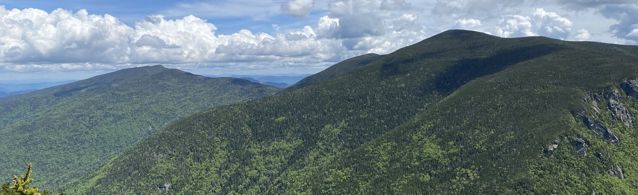 Wildcat Ridge via Nineteen Mile Brook Trail, New Hampshire - 131 ...