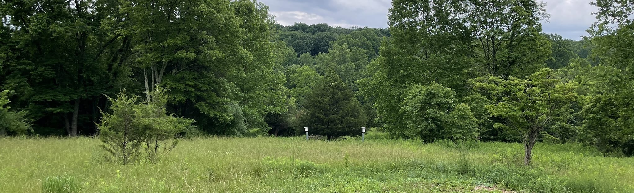 Western Piedmont, Pine Grove, and Windy Ridge Loop 240 Reviews, Map