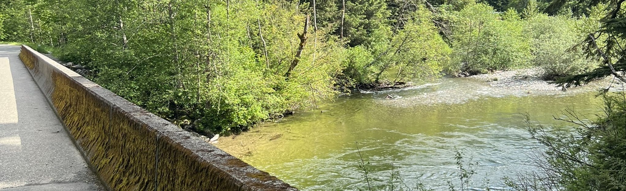 Winter Block via Birdhouse Trail 565 Reviews, Map Washington AllTrails