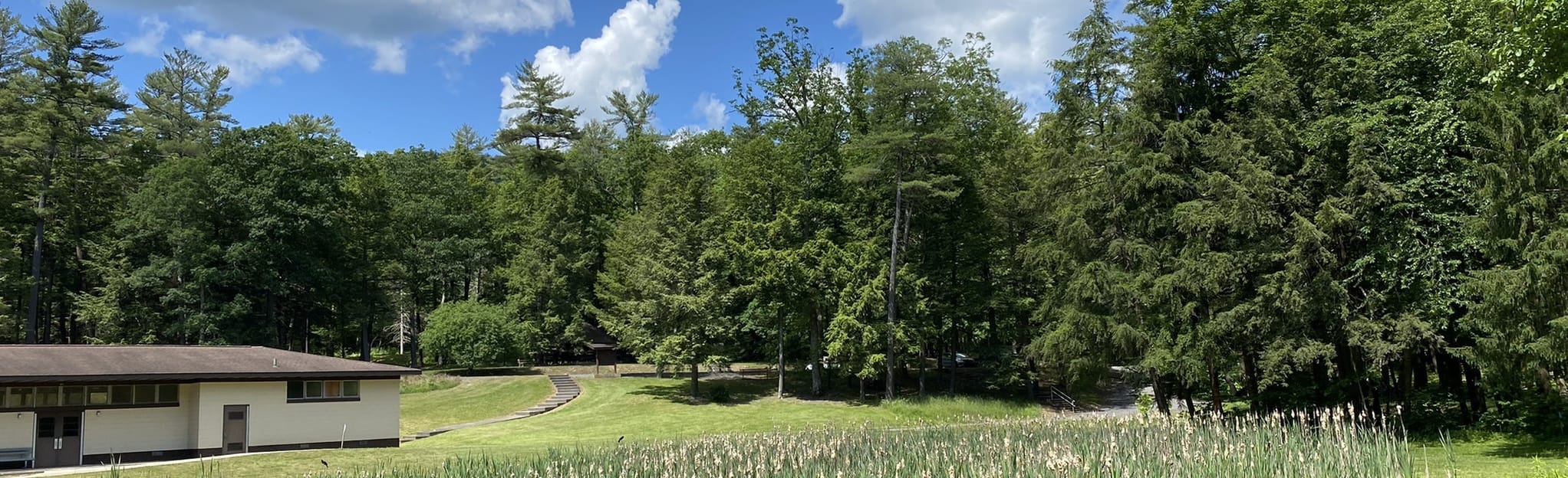 Reeds Gap Campground 72 Fotos Pennsylvania AllTrails